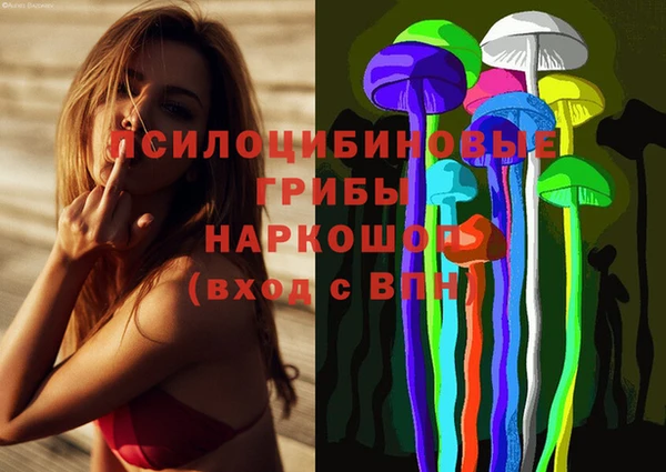 a pvp Володарск