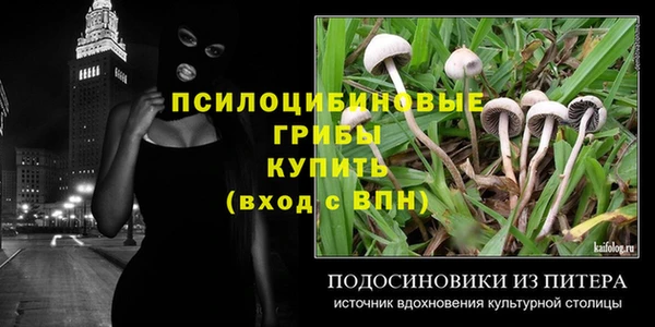 a pvp Володарск